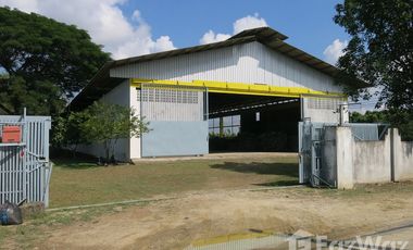 Studio Warehouse for sale in Makhun Wan, Chiang Mai