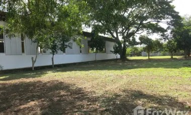 Studio Warehouse for sale in Makhun Wan, Chiang Mai