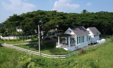 5 Bedroom Hotel for sale in Chai Sathan, Chiang Mai