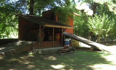 Casa - Toro