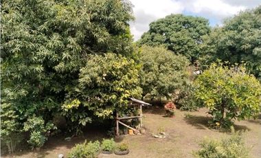 Vendo finca de producion y descanso en caloto departamento del cauca