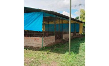 Vendo finca de producion y descanso en caloto departamento del cauca