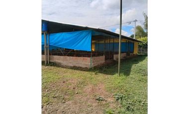 Vendo finca de producion y descanso en caloto departamento del cauca