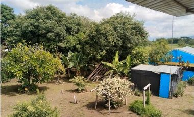 Vendo finca de producion y descanso en caloto departamento del cauca