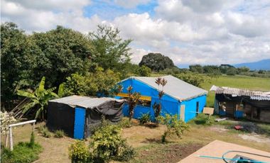 Vendo finca de producion y descanso en caloto departamento del cauca