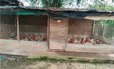 Vendo finca de producion y descanso en caloto departamento del cauca