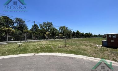 Terreno - Lote - Pilar del este - Santa Elisa - Lote 72 - Perimetral