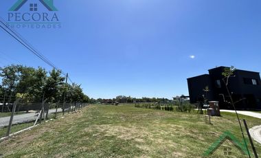 Terreno - Lote - Pilar del este - Santa Elisa - Lote 72 - Perimetral