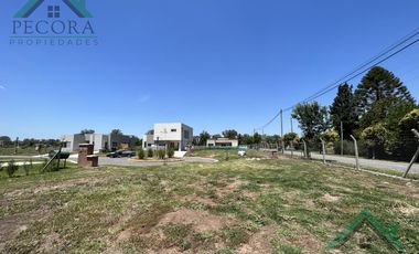 Terreno - Lote - Pilar del este - Santa Elisa - Lote 72 - Perimetral
