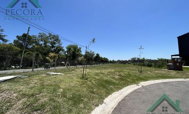 Terreno - Lote - Pilar del este - Santa Elisa - Lote 72 - Perimetral