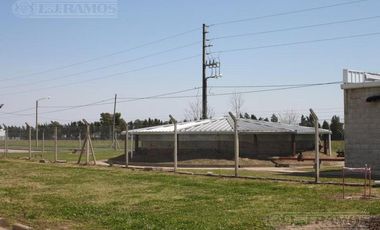 Depósito en Alquiler en Campana