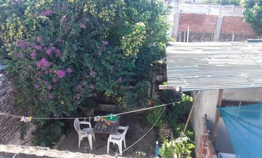 Casa - Wilde