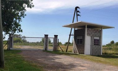 Depósito en Zarate