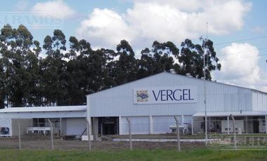 Depósito en Zarate