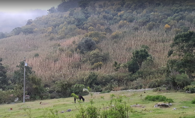 FRACCION AMELIA, TERRENO, VENTA, CHAPINGO MOTOZINTLA, CHIAPAS