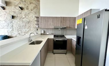 PH COCO PLACE - COCO DEL MAR - ALQUILER