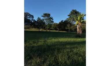 CORONADO / BOULEVARD / FINCA PLANA / 14 HECTREAS / 50.00 m2