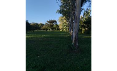 CORONADO / BOULEVARD / FINCA PLANA / 14 HECTREAS / 50.00 m2