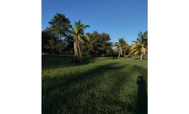 CORONADO / BOULEVARD / FINCA PLANA / 14 HECTREAS / 50.00 m2