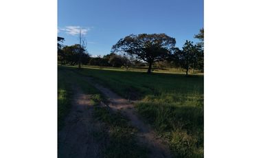 CORONADO / BOULEVARD / FINCA PLANA / 14 HECTREAS / 50.00 m2