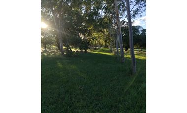 CORONADO / BOULEVARD / FINCA PLANA / 14 HECTREAS / 50.00 m2