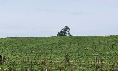 Parcela en venta en PUERTO MONTT