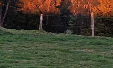 Parcela en venta en PUERTO MONTT