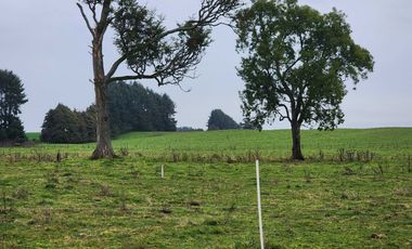 Parcela en venta en PUERTO MONTT