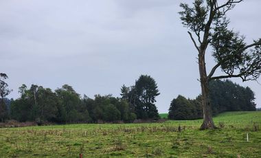 Parcela en venta en PUERTO MONTT