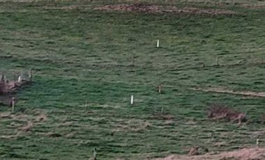 Parcela en venta en PUERTO MONTT