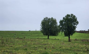 Parcela en venta en PUERTO MONTT