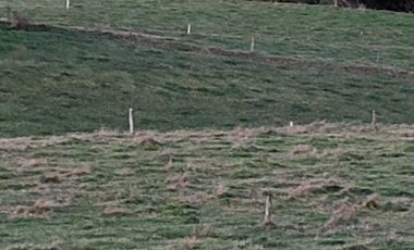 Parcela en venta en PUERTO MONTT