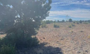 Parcela en venta en YUNGAY