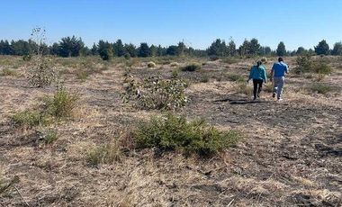 Parcela en venta en YUNGAY