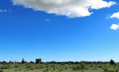 Parcela en venta en YUNGAY