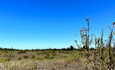 Parcela en venta en YUNGAY