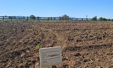 Parcela en venta en ÑIQUÉN