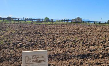 Parcela en venta en ÑIQUÉN
