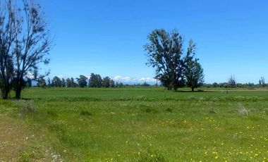 Parcela en venta en ÑIQUÉN
