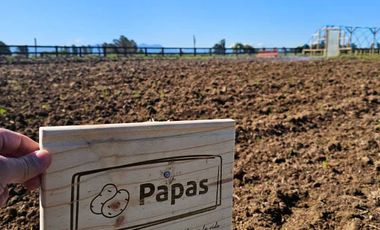 Parcela en venta en ÑIQUÉN