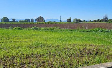 Parcela en venta en ÑIQUÉN