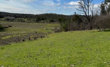 Parcela en venta en RÁNQUIL