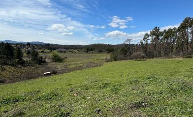 Parcela en venta en RÁNQUIL