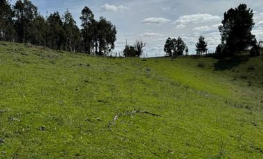 Parcela en venta en RÁNQUIL