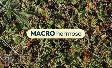 Parcela en venta en RÁNQUIL