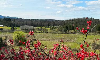 Parcela en venta en RÁNQUIL