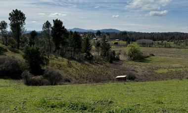 Parcela en venta en RÁNQUIL