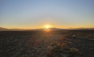 Parcela en Venta en Estancia Délano / Cruce a Carrizal Bajo / a 10 minutos de Vallenar