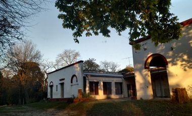 Campo - Berisso