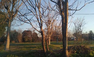 Campo - Berisso